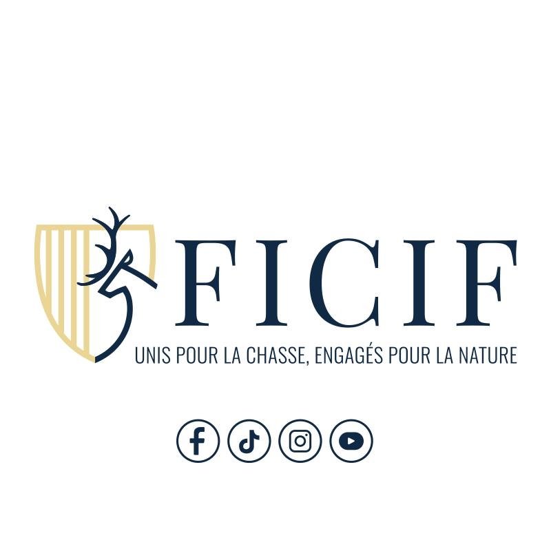 451489201 788738663462290 1001929244360630246 n