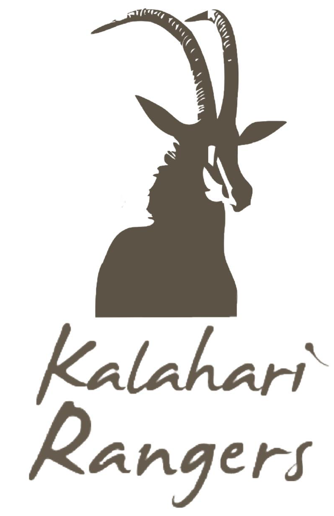 capture d’écran 2026 03 06 à 12.53.59