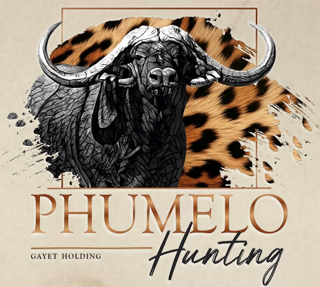 capture d’écran 2026 03 06 à 14.40.45