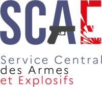 logo scae medium