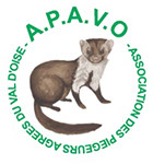 logo apavo