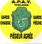 logo apay