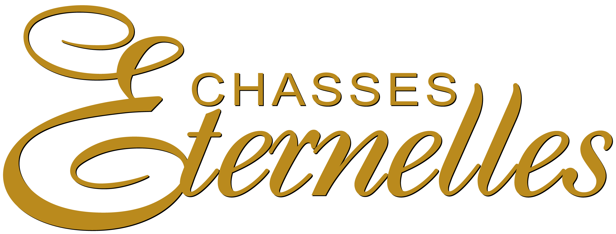 logochasseseternellesorange