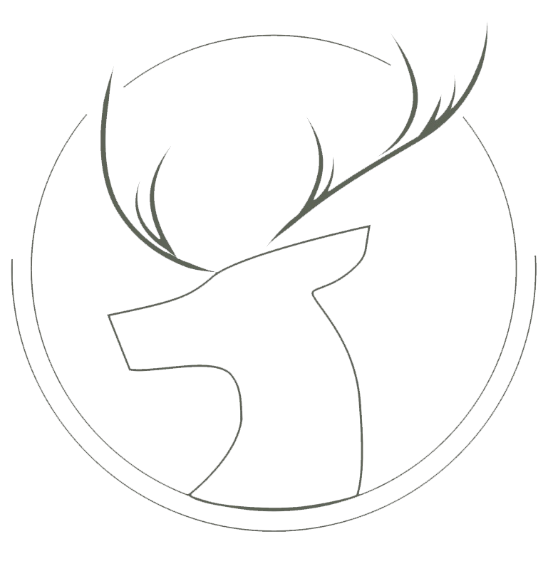 logopictofinal copie copie