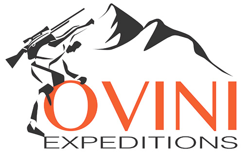 ovini logo