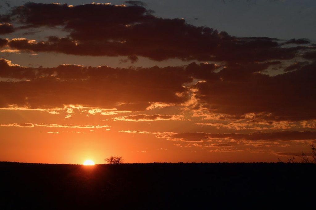 salon chasses chasse namibie 1