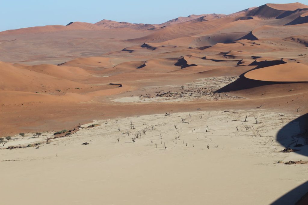 salon chasses chasse namibie 7