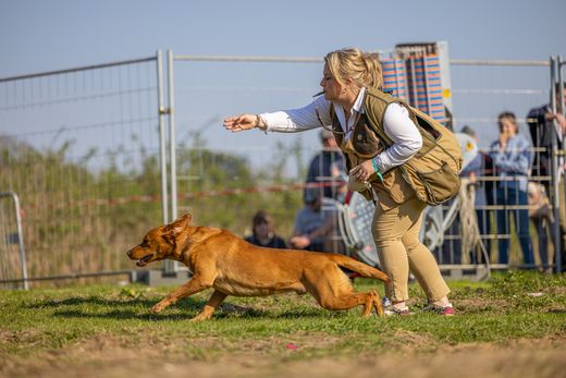 salon de la chasse demonstration chien
